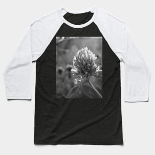 Petals in Sunlight Capture Red Clover's Elegance V4 Baseball T-Shirt